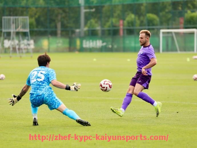 ky开云体育-西甲新赛季赛程深度解析及赛季焦点赛事推荐